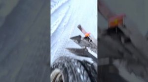 Якутия самосвал shacman x3000 550лс