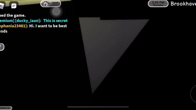 Secret in Roblox Brooke haven смотреть онлайн