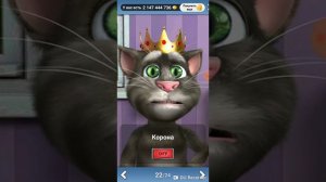 Мой говорящий Том 2 обзор игры