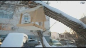 Зеленая экономика. Влияние урбанизации на биосферу городов