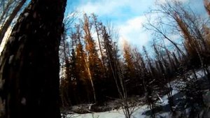 Регион 88 | За глухарём