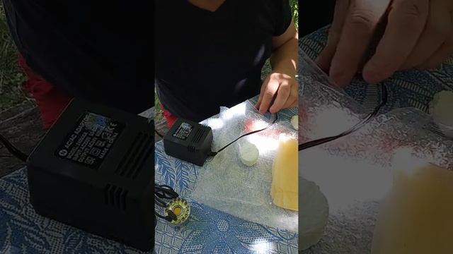 Вешанка. Выращивание дома. Как поддерживать уровень влажности. Удобный способ. смотреть онлайн