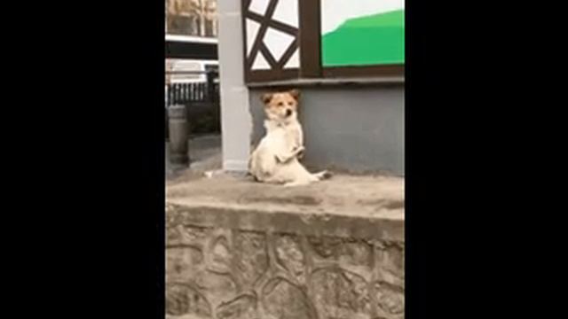 когда ты в душе аристократ смотреть онлайн