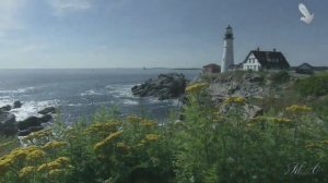 "ГЛЯНУЛ Я НА МОРЕ."КРАСИВО ДЛЯ ДУШИ. МУЗ.Т.УСЕНКО. ИСП.ВИТАЛИЙ СОКОЛОВ.СЛ. ВЛ. СОСЮРЫ.