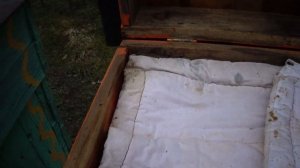 Проще простого! Медовая лепёха для медоносных пчёл.