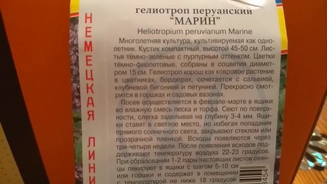 Гелиотроп-многолетник.