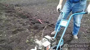 Мотокультиватор Крот и горчица