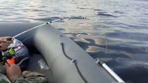 Рыбалка на Горьковском водохранилище сом 14 кг