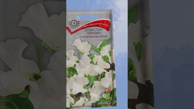 Посейте эти летники в цветник в мае.?