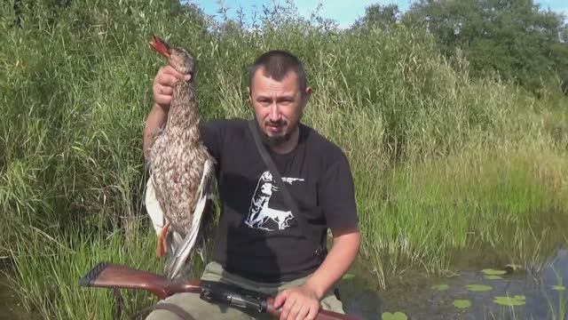 Быстрая охота на утку! смотреть онлайн