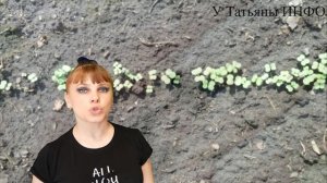 Что сажать весной на даче? СТОИТ ЛИ САЖАТЬ БРЮКВУ на огороде?