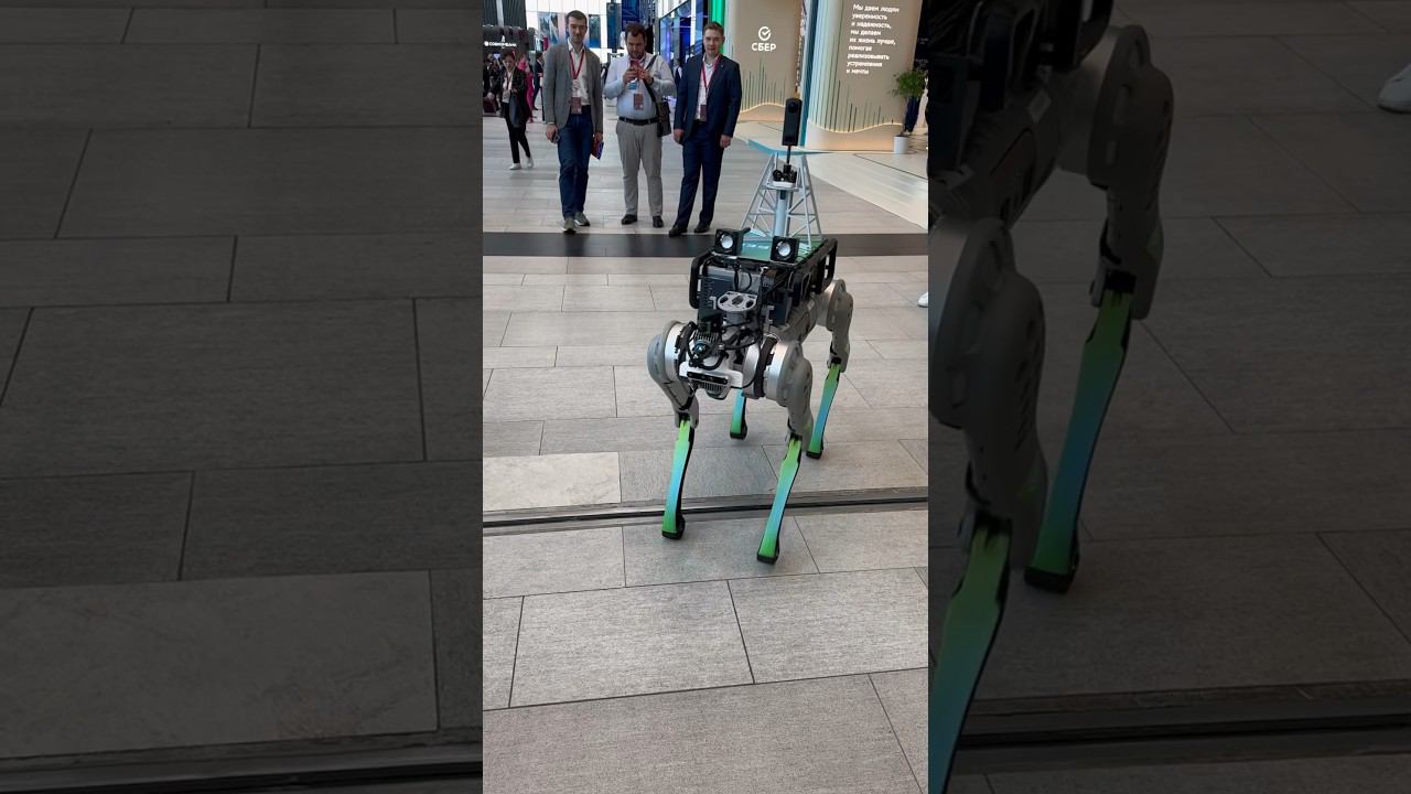 Робот пёс с динамиками на спине смотреть онлайн
