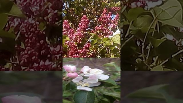 Фото весны смотреть онлайн