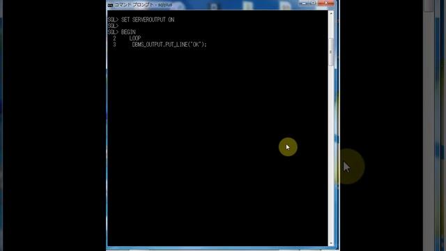 PL/SQL LOOP文（EXIT条件）を実行してみる1