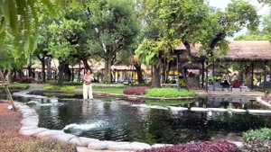 Поездка в паттаю. Парки, рынки, куда сходить с семьей.