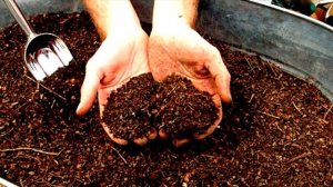 бизнес идея производство торфяных горшков