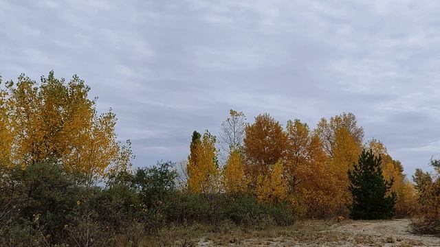 Знаки Зодиака, которых ждут большие перемены в 2022 году. Год Тигра. Новый 2022 год. смотреть онлайн