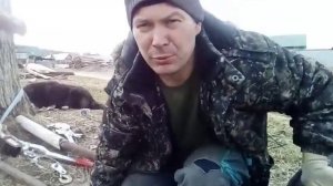 стрим обдираем шину ИП184 (1220х400х533)