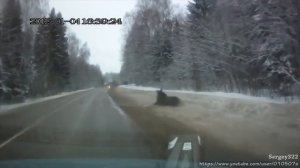 Неконтролируемая опасность | Животные на дороге | Animals on the road