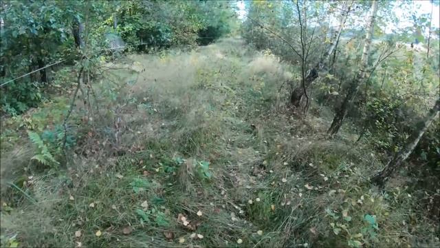 Почему я не выпасаю коров в электропастухе? // Деревенские будни смотреть онлайн