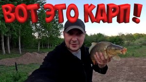 ВОТ ЭТО КАРП !!! ВЫРАСТИЛ МУТАНТОВ ТЕПЕРЬ ЛОВЛЮ !  В ПРУДУ НА УЧАСТКЕ