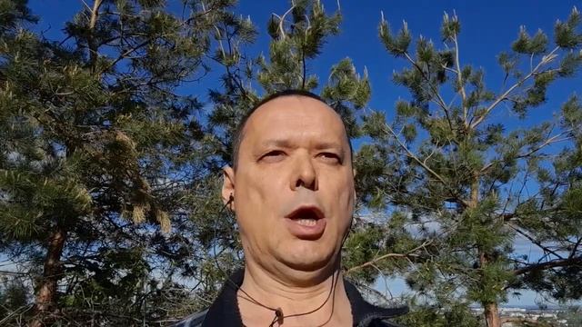 2.4.Аум Сурйайа намах