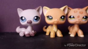 LPS: Распаковка посылки