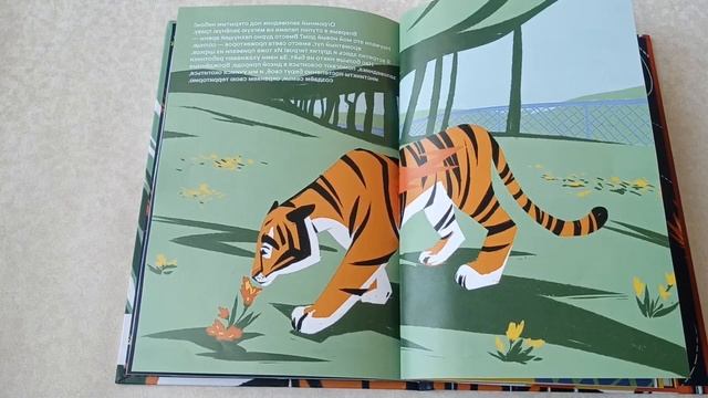 Сказка Цирк не для всех смотреть онлайн