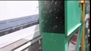 Машина для очистки и калибровки зерна АЛМАЗ МС