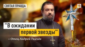 Нас поймала радость Рождественского сочельника — отец Андрей Ткачёв
