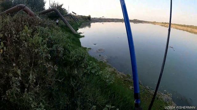 РЫБАЛКА В УЗБЕКИСТАНЕ.НОВОЕ МЕСТО. РЫБАЛКА НА САЗАНА #baliqovi2022 #fishing #sazanovu смотреть онлайн