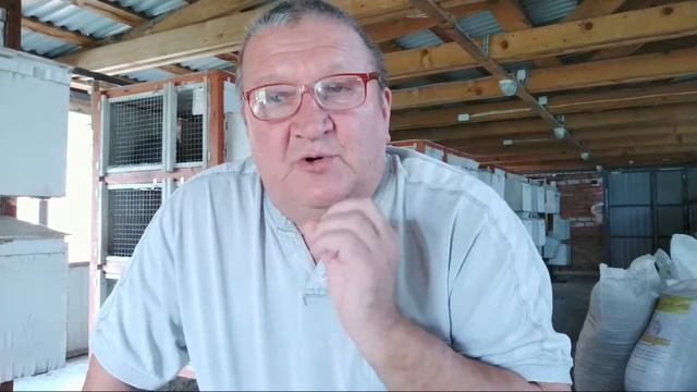 ?Как привести крольчих в охоту? Почему я из множества способов выбрал именно этот? Макляк Макрол смотреть онлайн