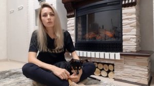 Ошибки воспитания собаки или что не нужно делать с щенком