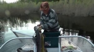 щука монстр.mp4