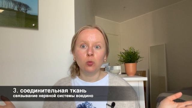 НЕРВНАЯ СИСТЕМА: КАК УСТРОЕНА? КАК ВЫГЛЯДИТ НЕЙРОН? НЕРВНЫЕ ИМПУЛЬСЫ И НЕЙРОМЕДИАТОРЫ.