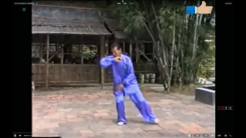 Тайцзицюань Чэнь тайцзи Чжан Маочжень