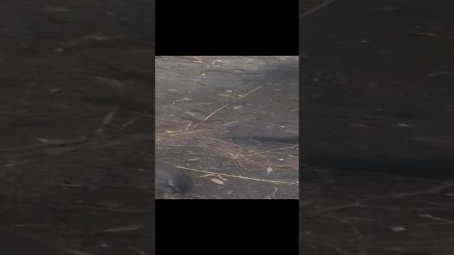 Нам уже 2 месяца