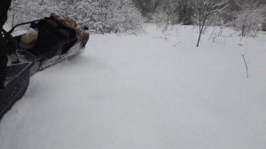 Предновогодние покатушки на мотобуксировщике Балтмоторс.