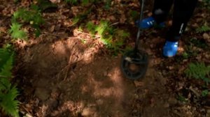 Раскопки в Можайском районе, нашли деньгу 1750 г.