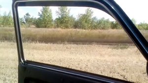 Двойное стекло тонировка нива