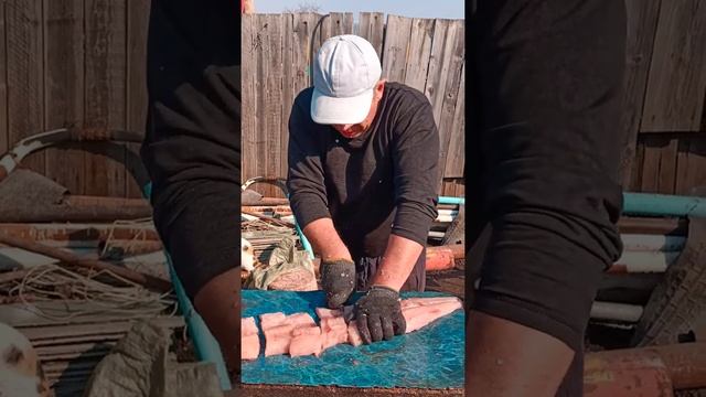 стэйк с щуки смотреть онлайн