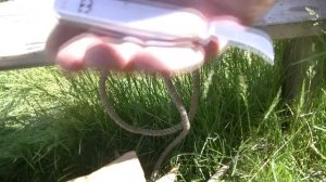 Крутой Alox на лето или обзор и тесты ножа Victorinox Alox Swiss Army 2/Pioneer Pruner