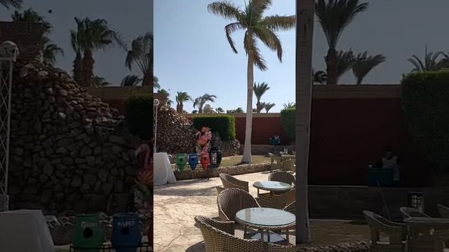 Aladdin Beach Resort Hurghada 4   Аладдин Бич Резорт Хургада. Египет. Сентябрь 2021 год