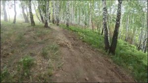 Пашино, г. Новосибирск