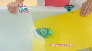 Интерактивные черепашки Little Live Pets
