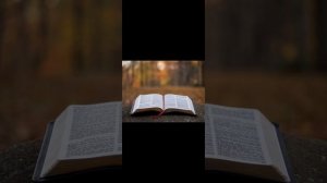 Євангеліє на щодень 19 листопада Лк.8,41-56