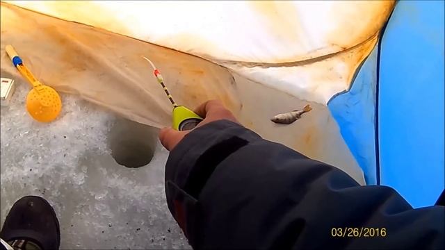 Как поймать окуня, плотву, ерша зимой на мормышку… смотреть онлайн