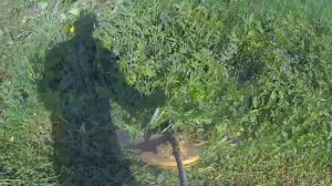 4.Тест мотокос Champion 4-х т. T334FS и 2-х т.T433-2