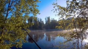 Рыбалка на спиннинг. Рыбалка в подмосковье.  Окуни. Отводной поводок. Отдых на природе.