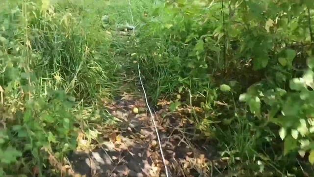 Зелёный тариф по-русски! Или как я соседа к Солнцу подключил...